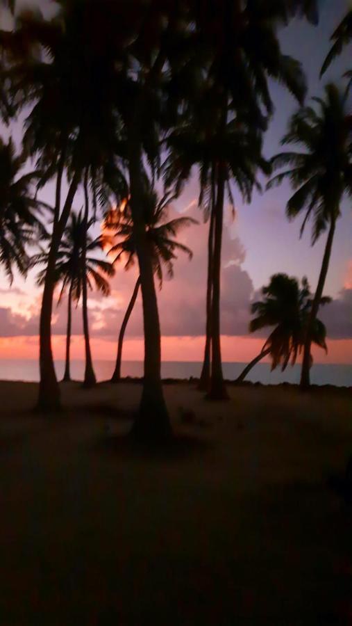 Mystic Maldives Mathiveri Retreat ภายนอก รูปภาพ